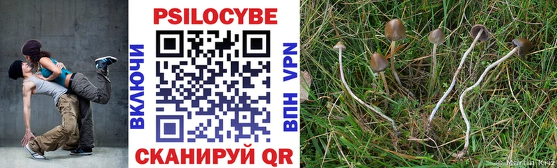 Псилоцибиновые грибы Psilocybe  Карталы 