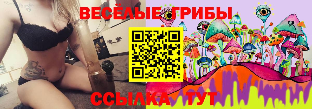 Галлюциногенные грибы MAGIC MUSHROOMS Карталы