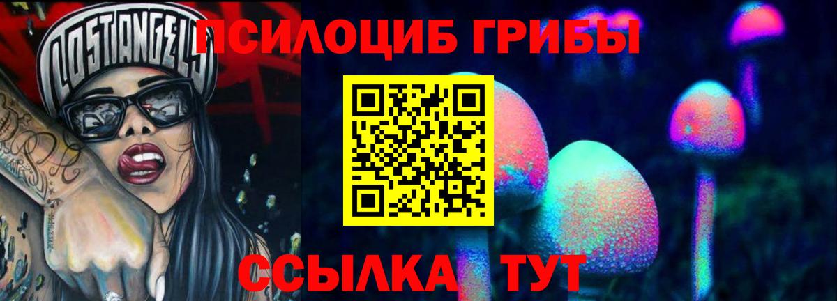Псилоцибиновые грибы мухоморы  Вход с VPN  закладки  Карталы 